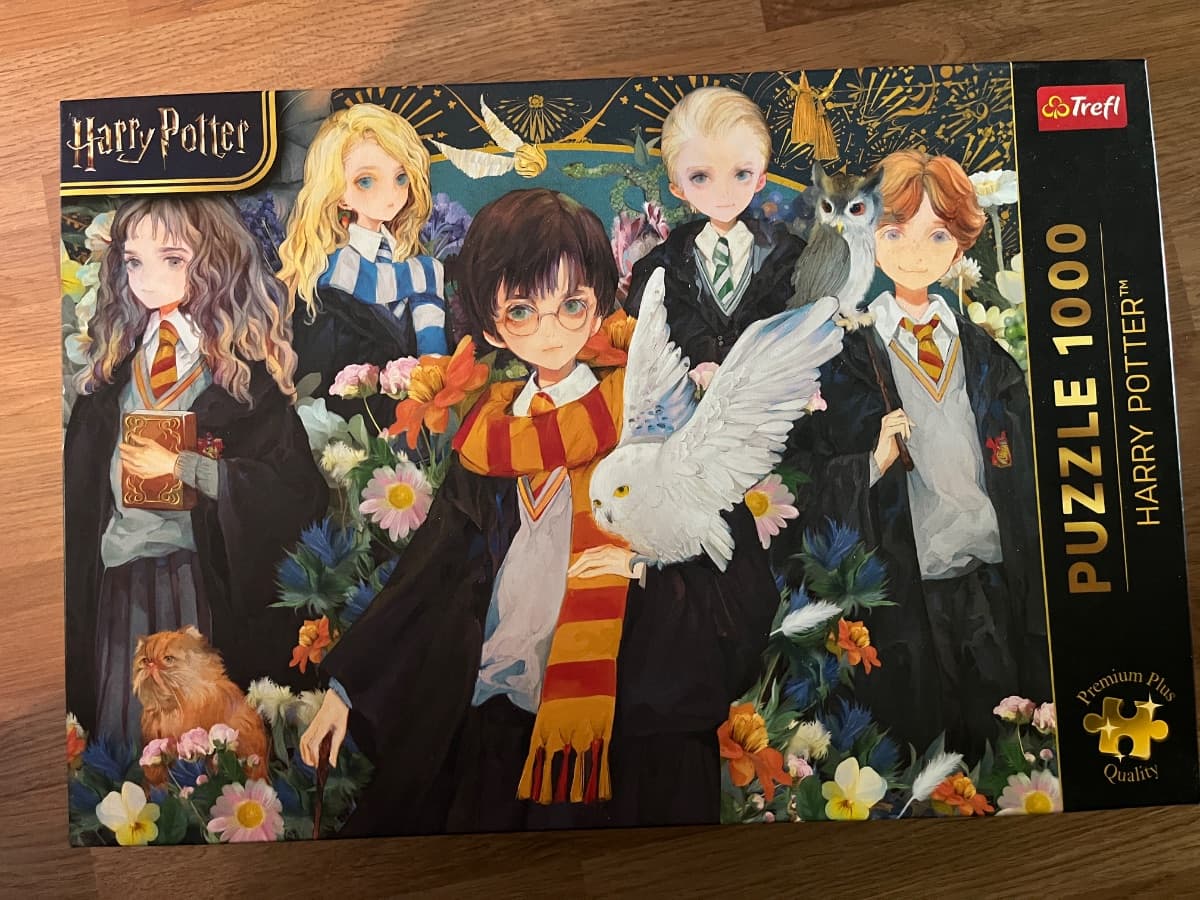 Harry Potter – Anime-stil